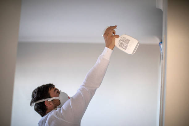 Best Water Damage Restoration  in Burlington, IA
