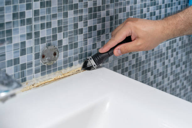 Best Affordable Mold Removal  in Burlington, IA
